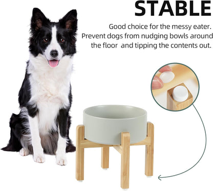 Ceramic Raised Dog Bowl Set, Elevated with Stand, Food and Water Bowl for Medium Breed Dogs