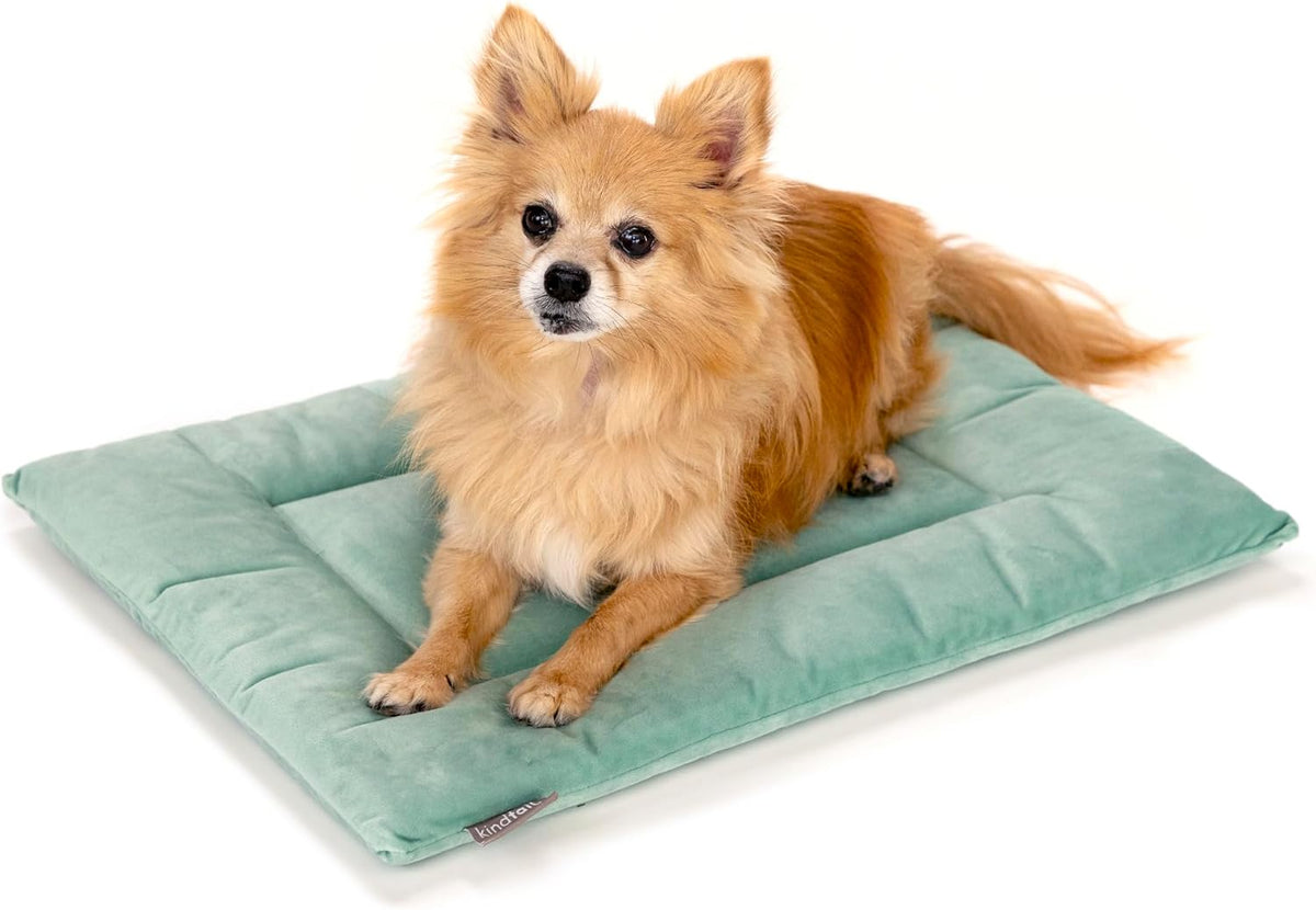 KindTail Dog Crate Pad - Soft Velvet, Reversible Bed - Machine Washable Kennel Mat for Pets up to