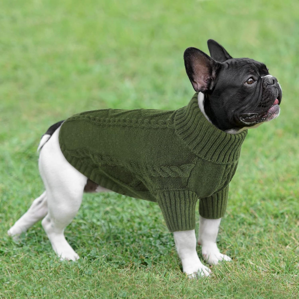 Queenmore Small Dog Pullover Sweater, Cold Weather Cable Knitwear, Classic Turtleneck Thick Warm