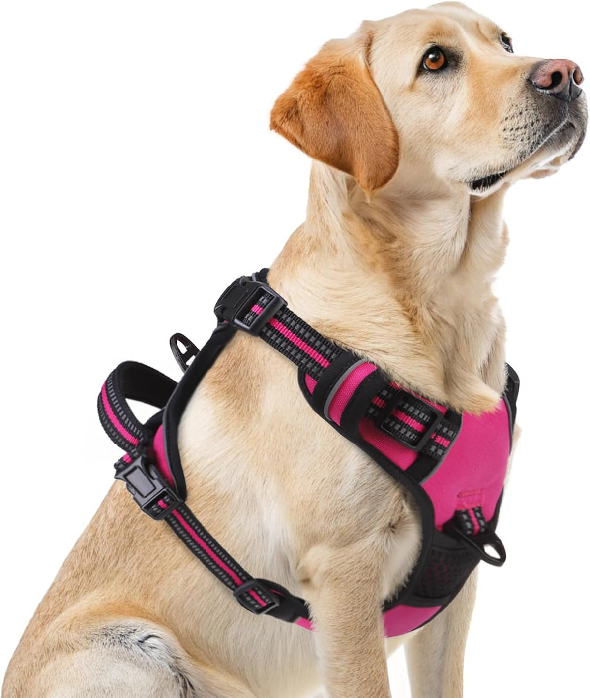 PUPTECK No Pull Dog Harness for Large, Adjustable Reflective Dog Harness with Handle Easy Control