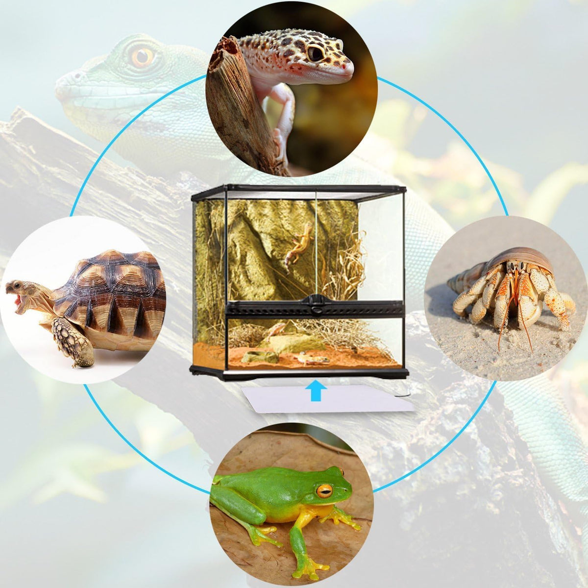 Aiicioo Under Tank Heater Thermostat - Reptile Heating Pad with Temperature Control Reptile Heat