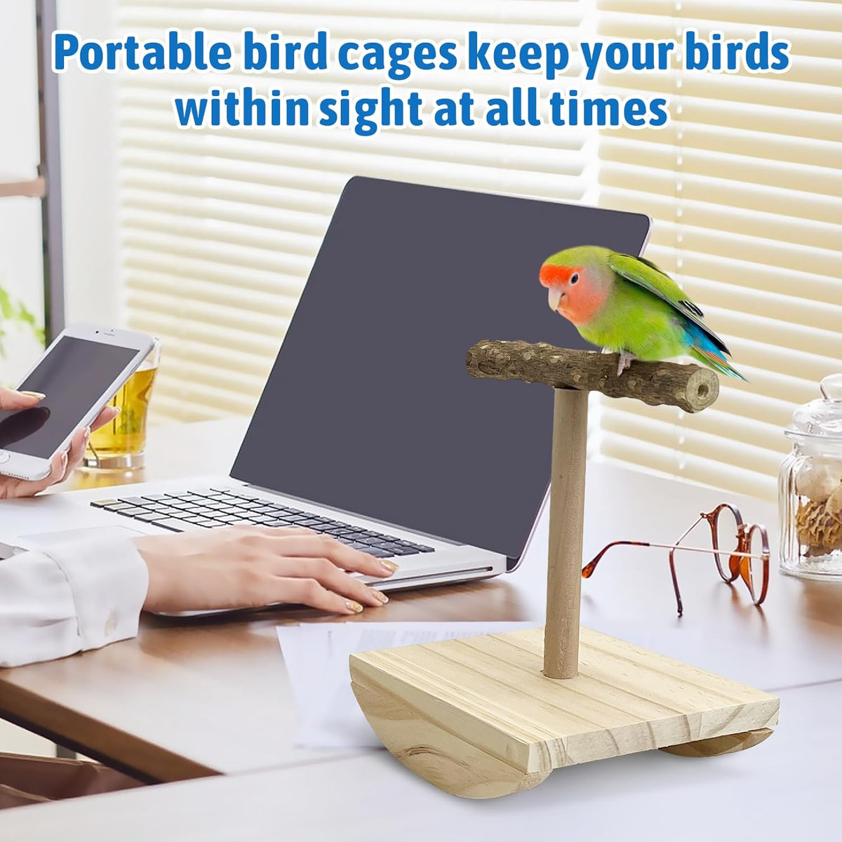 kathson Bird Training Stand, Parakeet Playground Bird Perch Stand Portable Tabletop Bird Perch