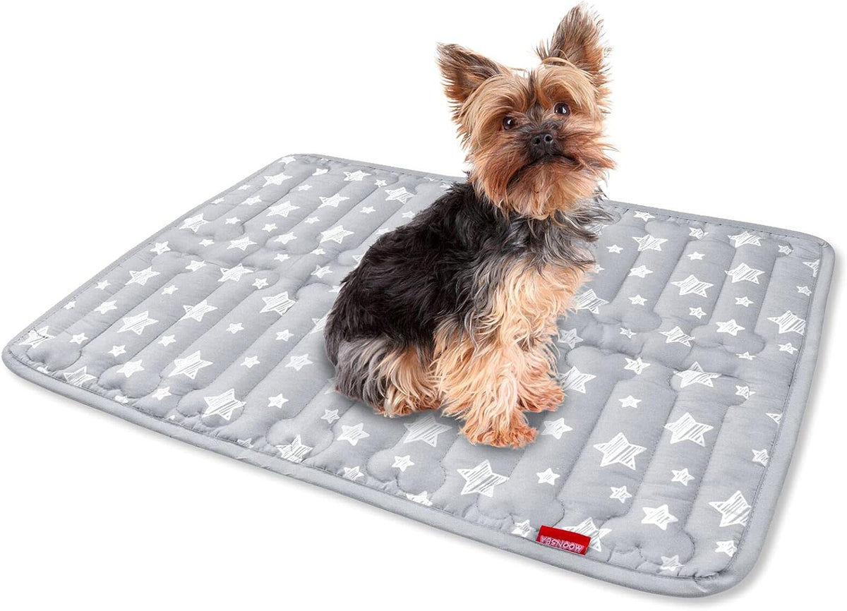 Dog Crate Mat (24" X 18"), Soft Dog Bed Mat with Cute Prints, Personalized Crate Pad, Anti-Slip