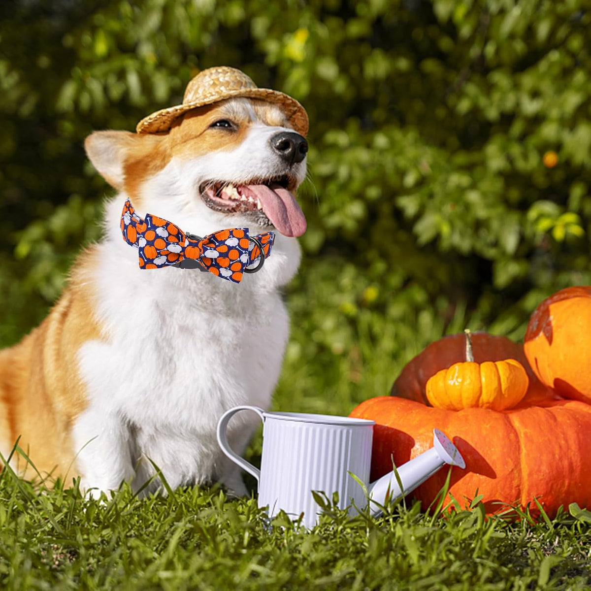 Unique Style Paws Halloween Day Dog Collar with Bow Bone Pumpkin Cotton Dog Collars for Small