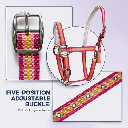 JWODVNTH Adjustable Horse Halter with PP Webbing, Durable Horse Halters with Zinc Alloy Hardware