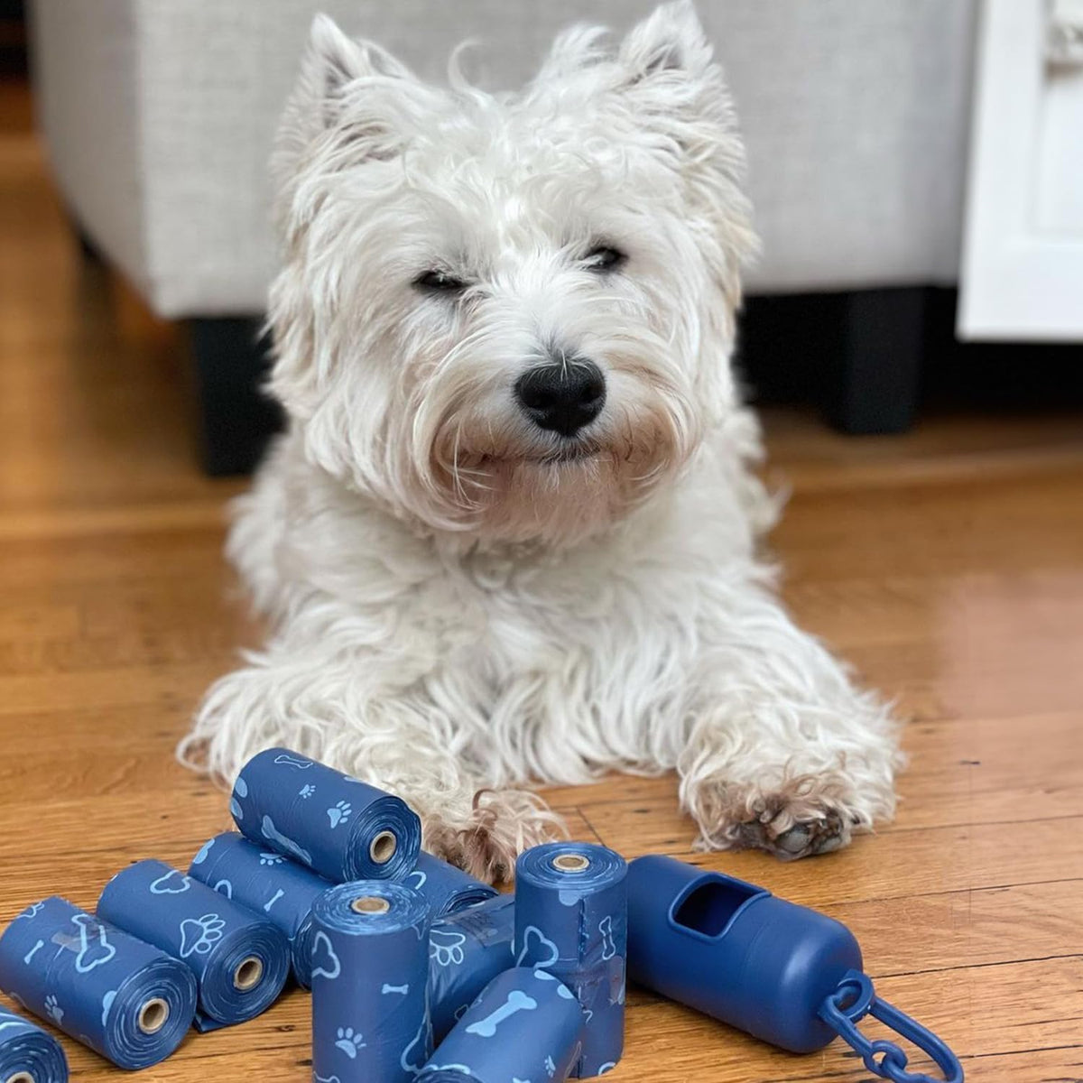 Best Pet Supplies Dog Poop Bags (150 Bags) for Waste Refuse Cleanup, Doggy Roll Replacements for