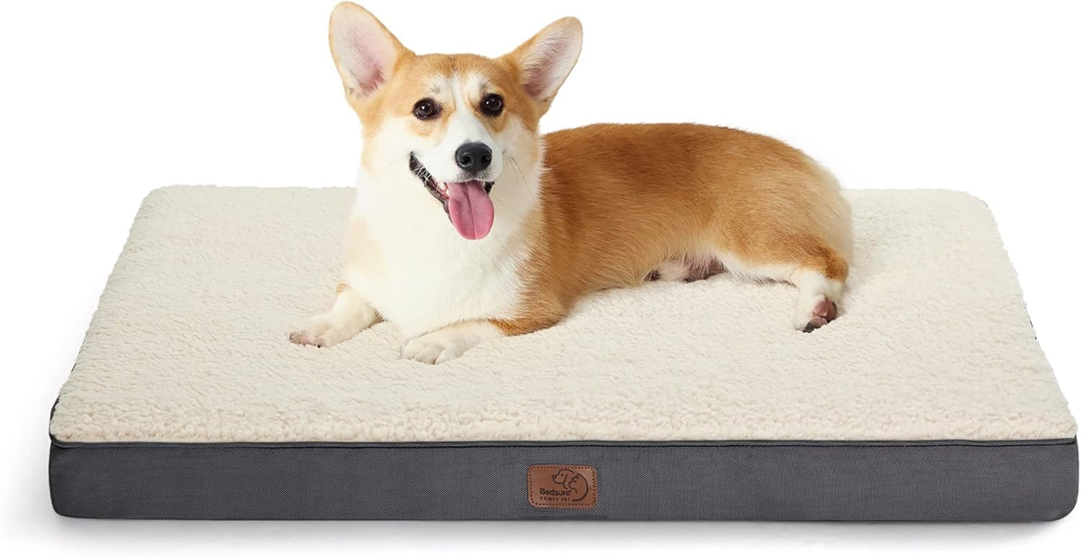 Bedsure Dog Bed Medium Size Dog - Orthopedic Flat Puppy Beds with Removable Washable Cover, Egg