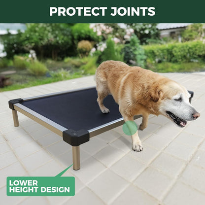 FXW TitanNest Chew-Proof Elevated Dog Bed, Raised Cot for Indoor/Outdoor/Camping Use, Durable &