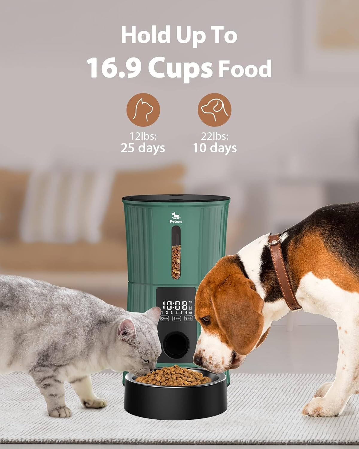 Petory Timed Automatic Cat Feeders - 4L Programable Dry Food Dispenser for Cats and Small Medium