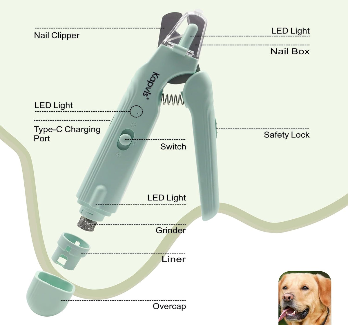 2-in-1 Dog & Cat Nail Clipper and Grinder,LED Lights & Safety Guard for Large Medium Small Dogs