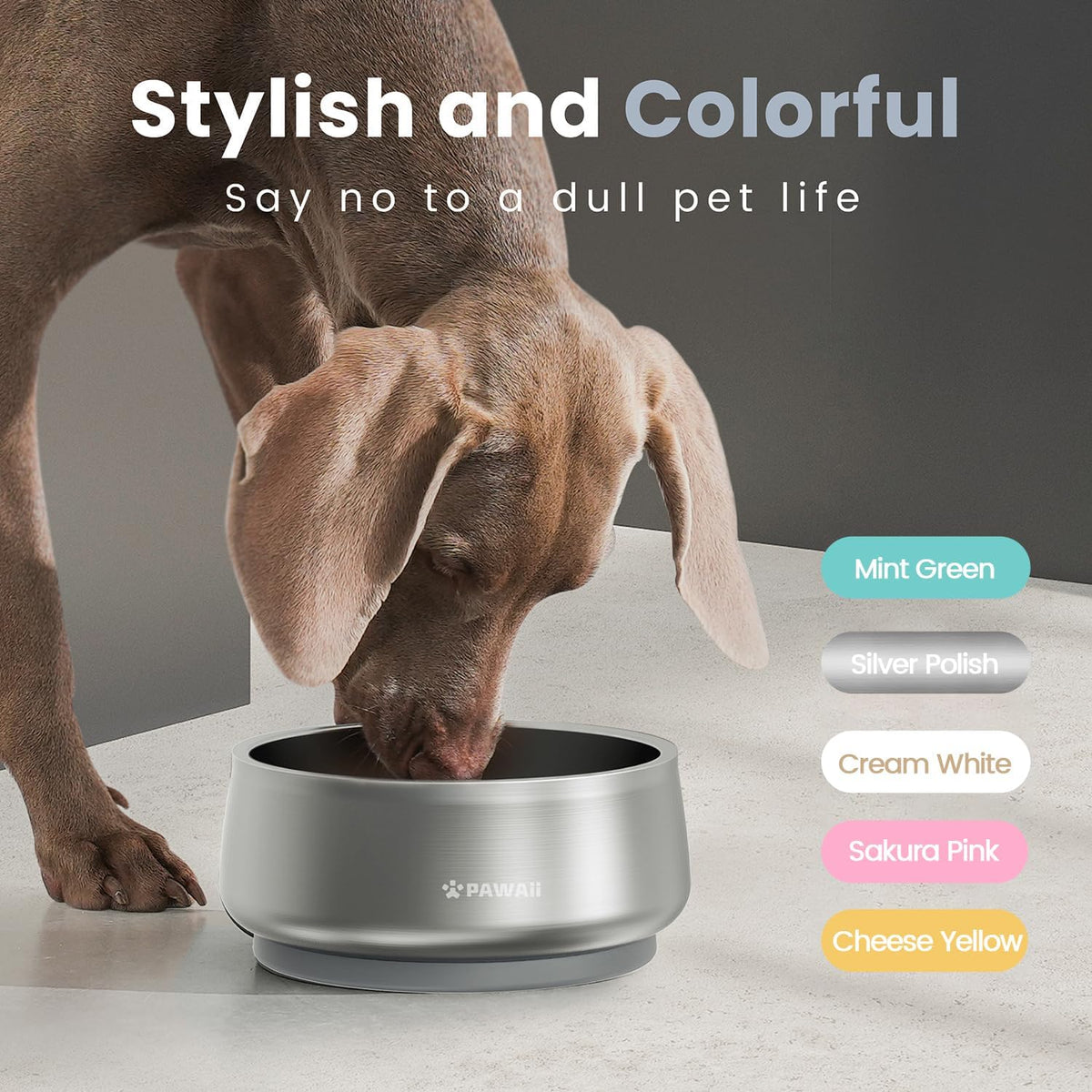 Pawaii Stainless Steel Dog Bowl with Non-Slip Rubber Base & Double Wall Insulation - Durable Design
