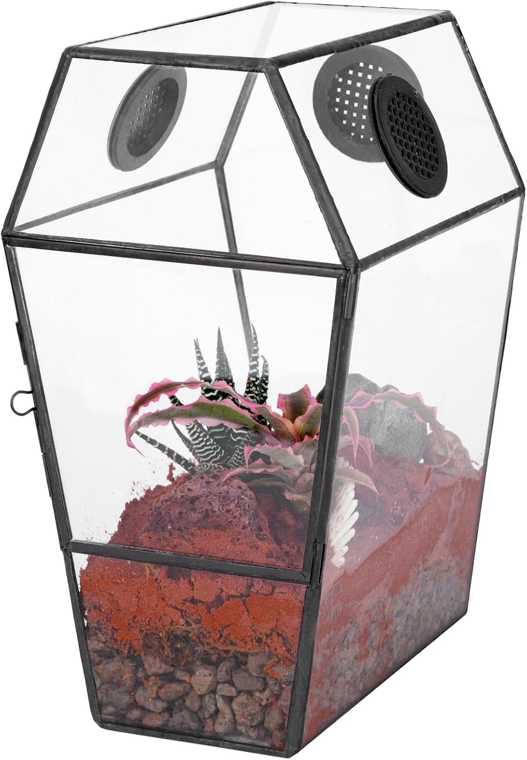 NCYP Gothic Glass Enclosure for Jumping Spider, Snails, Insects - Front Opening Door Geometric