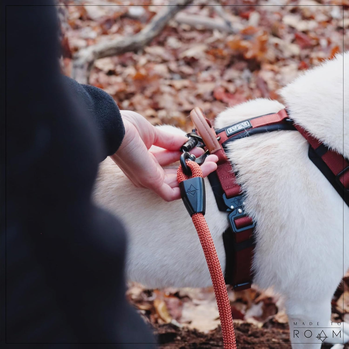MADE TO ROAM Premium Explorer Harness - Y-Shaped Dog Harness with Adjustable Durable Nylon, Soft