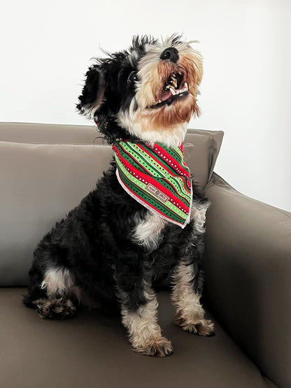 lionet paws Christmas Dog Bandana,Fabric Dogs Kerchief for Small Medium Large Dogs,Dog Cotton