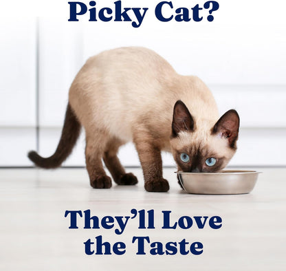 Solid Gold Wet Cat Food Pate for Indoor Cats - Healthy Canned Cat Food Pate w/Real Chicken, Omega