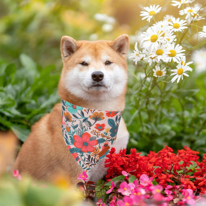 PTDECOR Flower Dog Bandana,2 Pcs Floral Reversible Dog Scarf, Multi Size, Triangle Pet Bandanas for