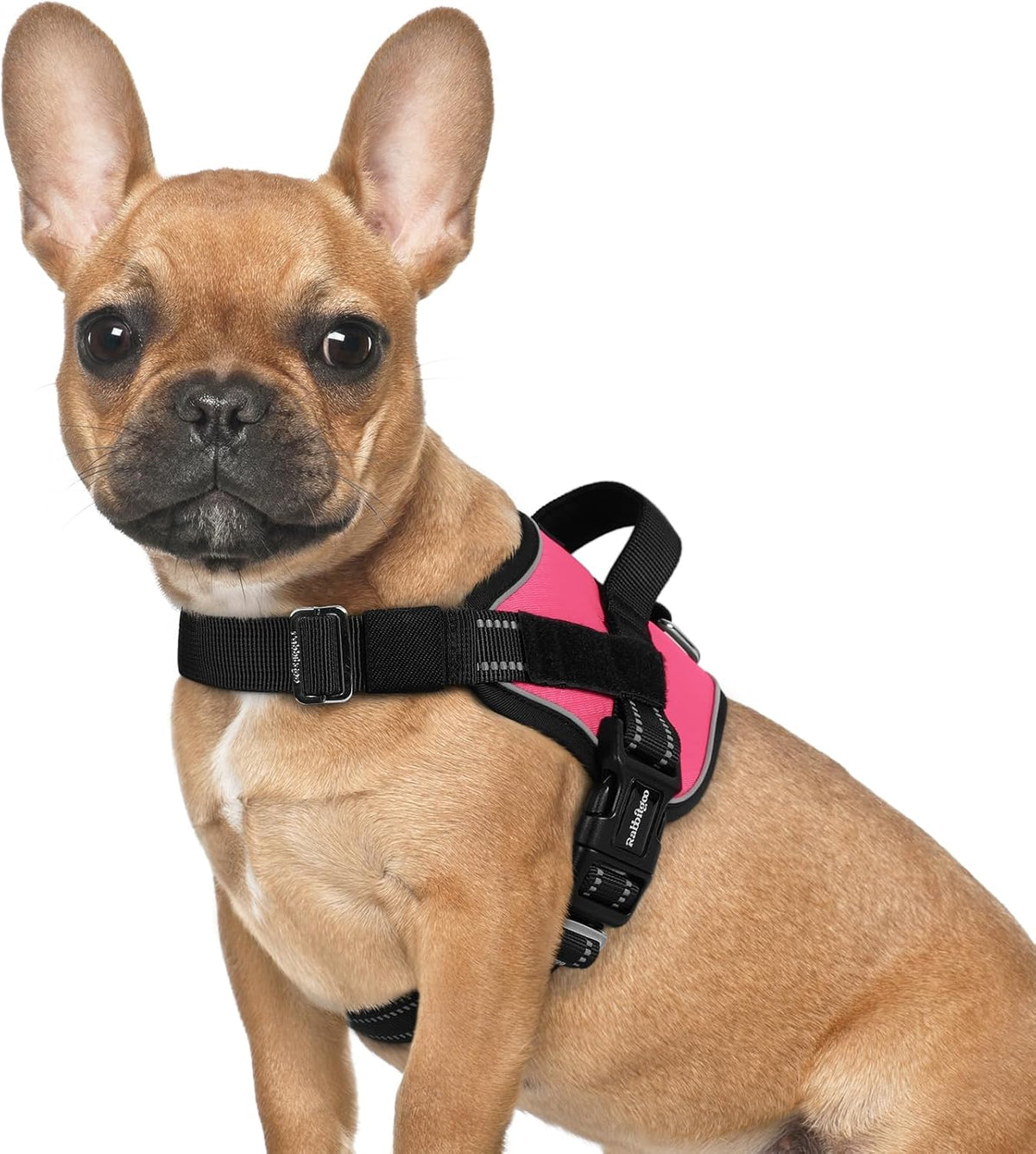 rabbitgoo Dog Harness for Small, Easy On Pet Vest with One Buckle, No Pull Adjustable Service