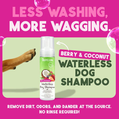 TropiClean No Rinse Waterless Dog Shampoo | Detangling and Deodorizing Dry Shampoo for Smelly Pets