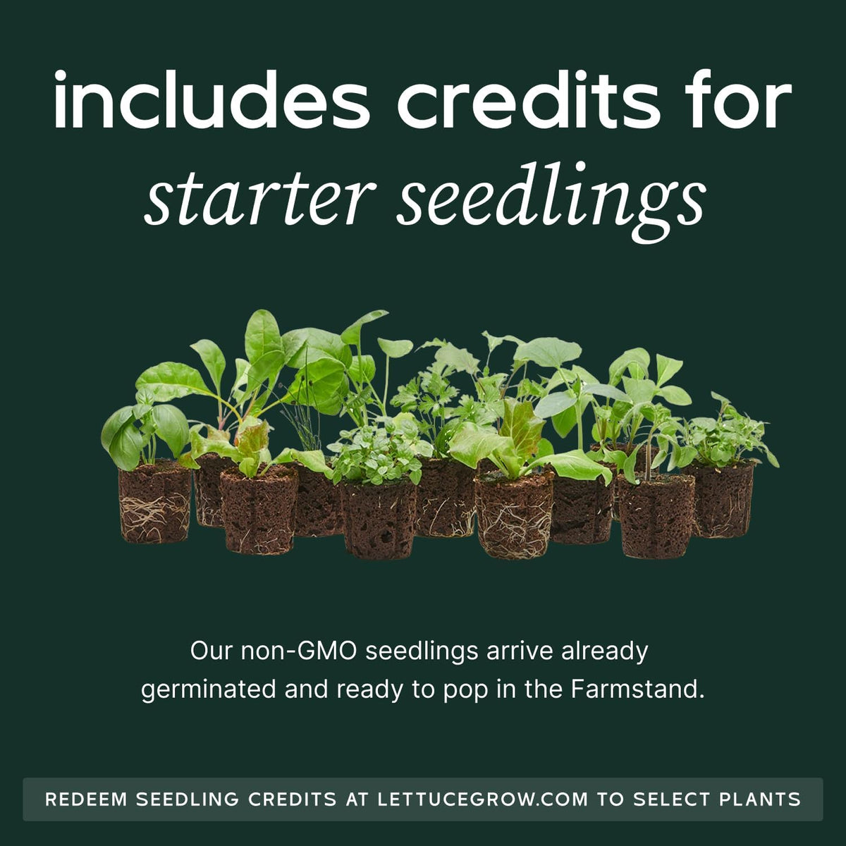 Farmstand Starter Kit + 30 Seedling Credits | Family Hydroponic Growing System Kit | Self-Watering