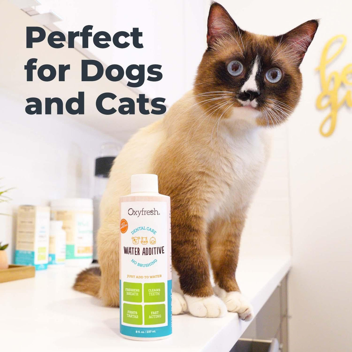 Oxyfresh Premium Pet Dental Care Solution Pet Water Additive: Best Way to Eliminate Bad Dog Breath