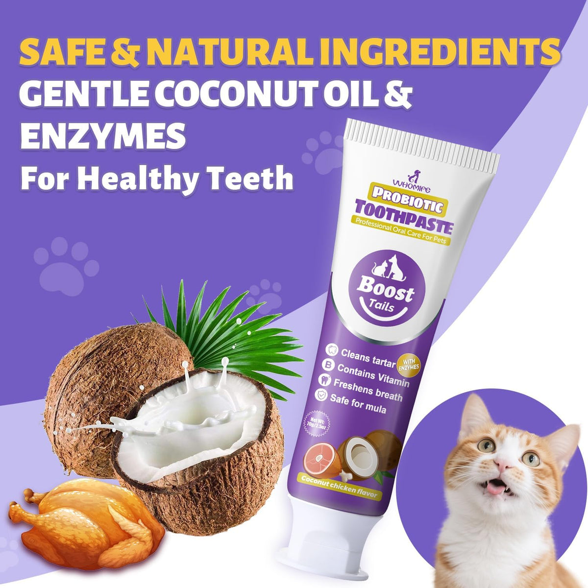 Cat Toothbrush and Toothpaste Kit - Includes Toothpaste (Coconut Chicken 2.5 oz.) Soft Brush