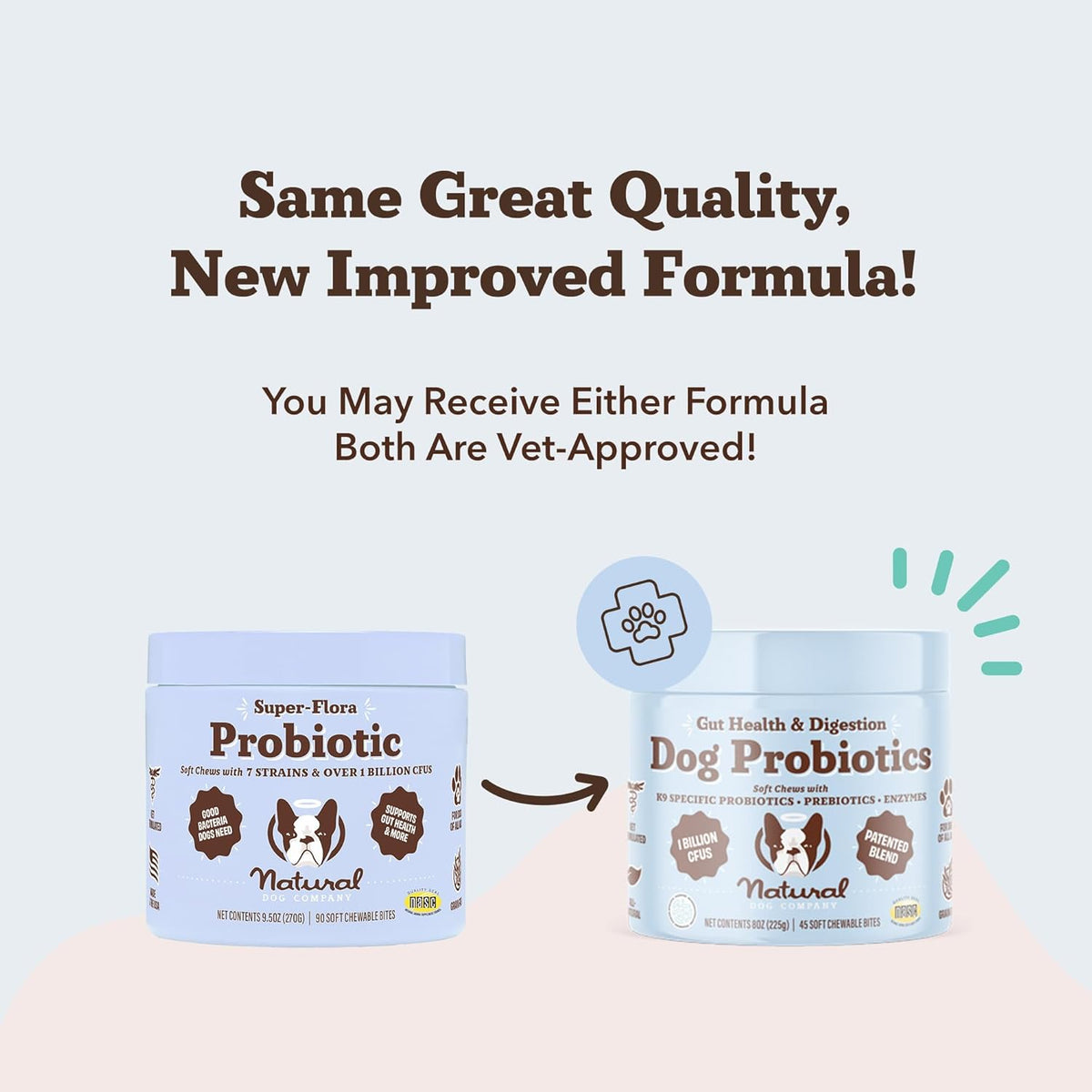 Natural Dog Company Gut Health & Probiotic Chews for Dogs (45 Ct), Prebiotics, Digestive Enzymes &