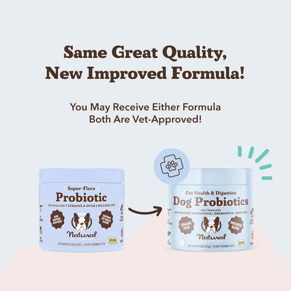 Natural Dog Company Gut Health & Probiotic Chews for Dogs (45 Ct), Prebiotics, Digestive Enzymes &