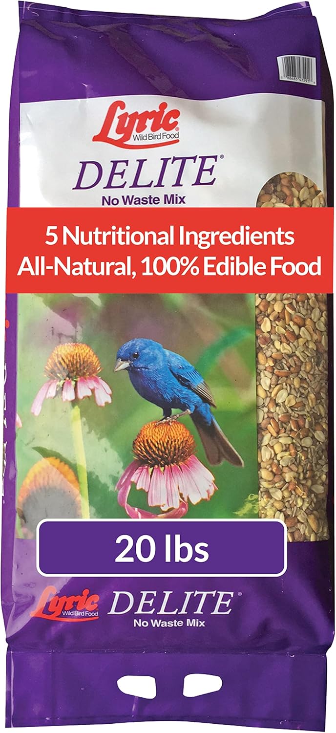 Lyric Delite Wild Bird Seed - No Waste Bird Food Mix with Shell-Free Nuts & Seeds - Attracts