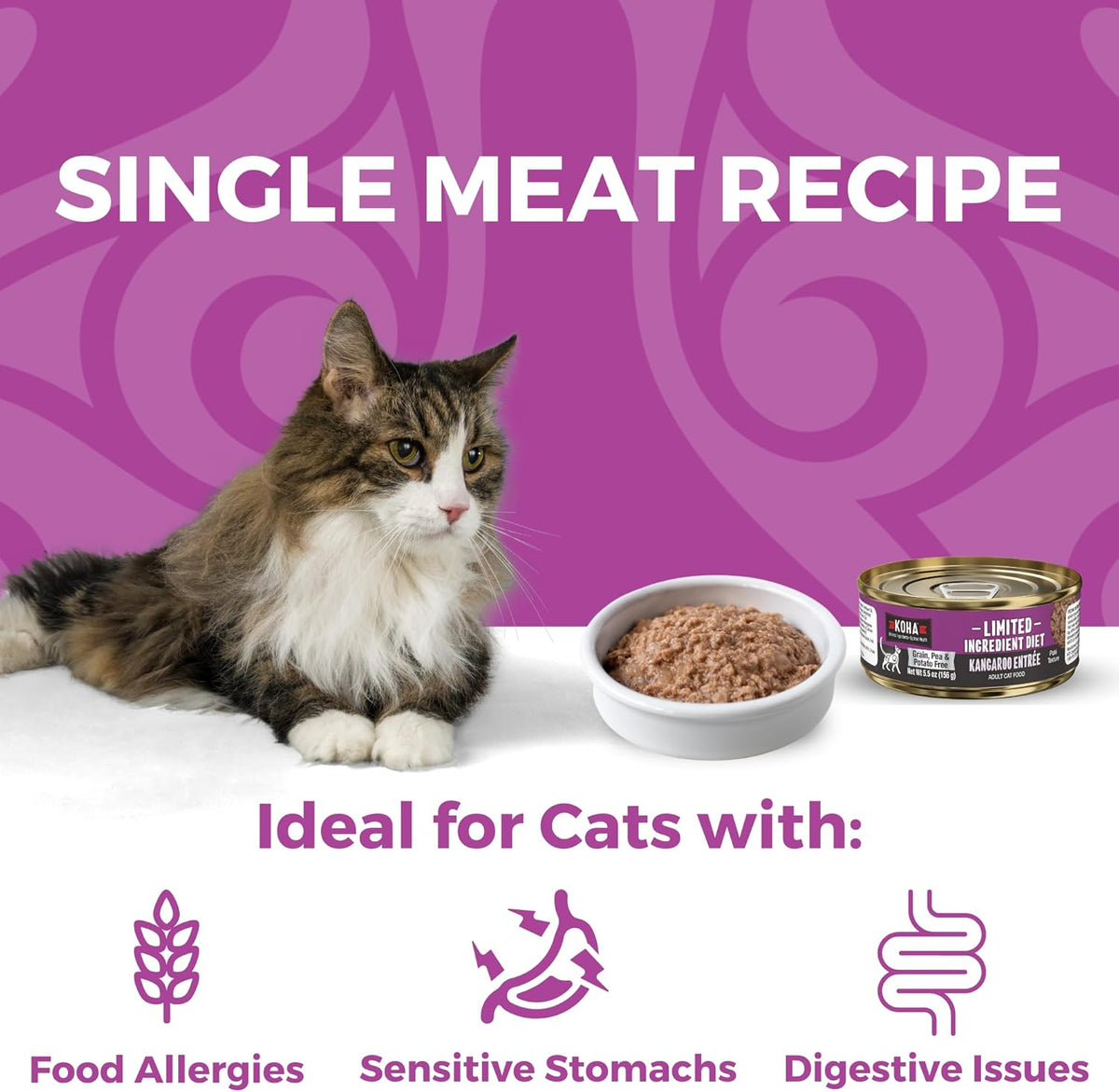 KOHA Limited Ingredient Diet Kangaroo Pate for Cats - Single Meat Cat Food for Sensitive Stomachs