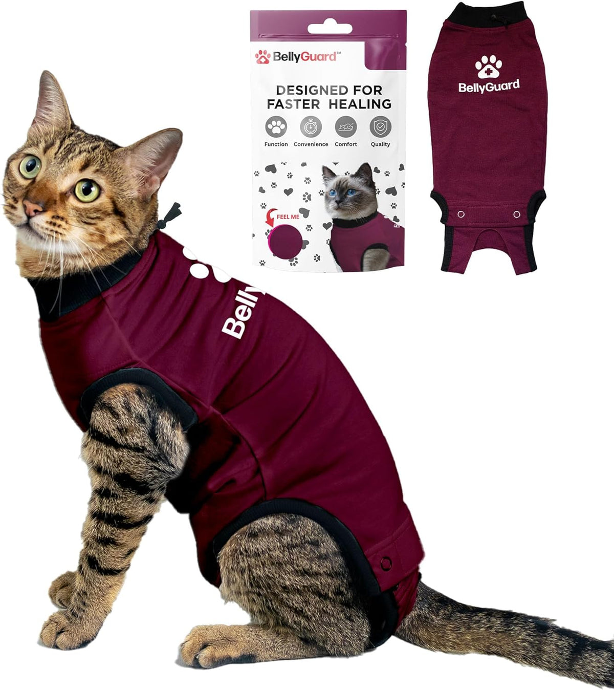 Bellyguard Cat Recovery Suit Female and Male, Comfy Onesie After Surgery, Kitten Clothes for