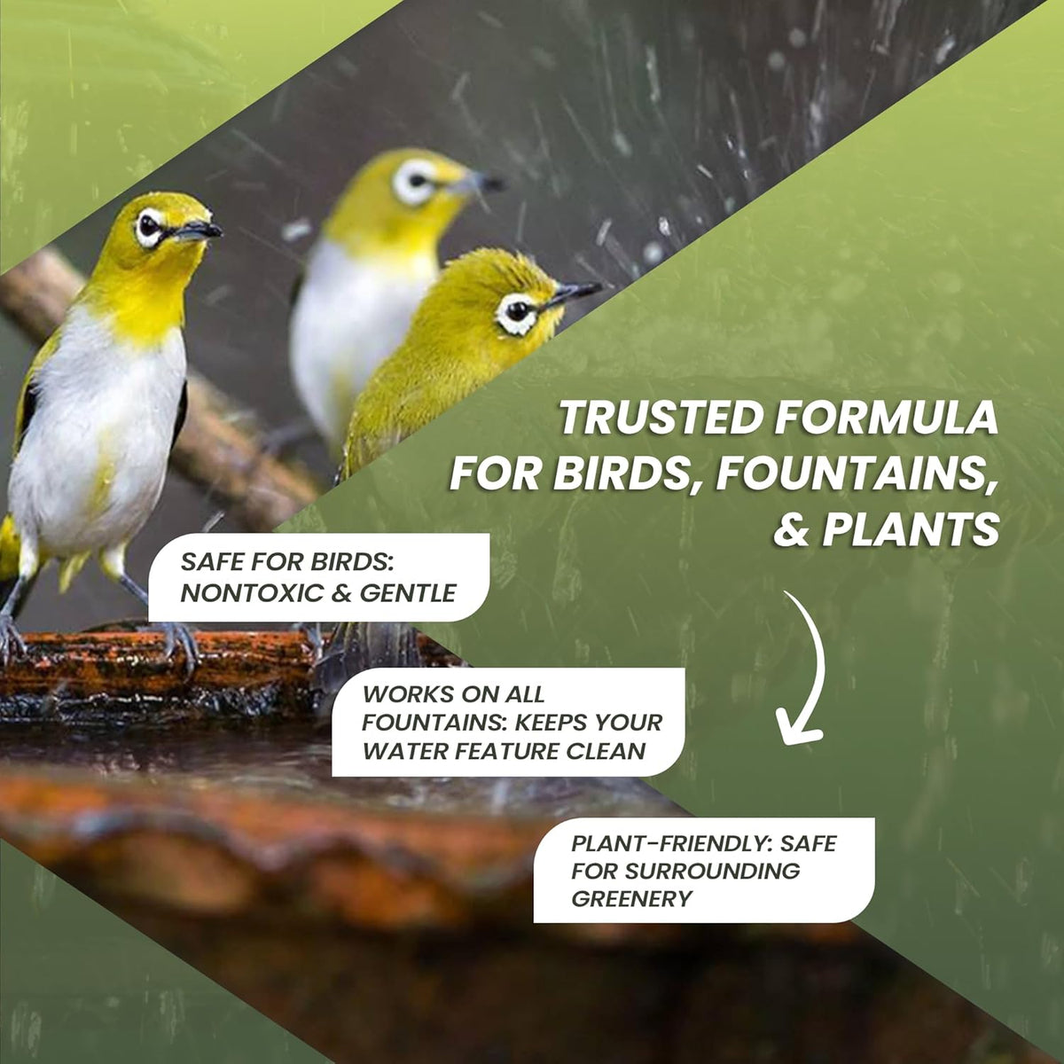 16oz Bird Bath Cleaner, Cleans 80 Gallons of Water, Ideal Fountain Cleaner Safe for Birds, Bird