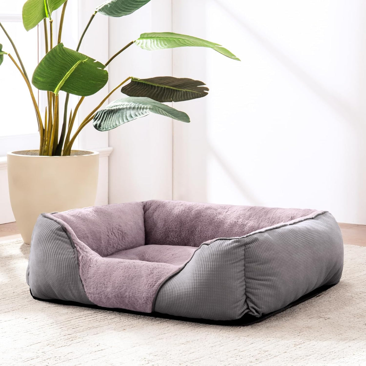 MIXJOY Dog Beds for Medium Dogs Washable, Calming Pet Bed Medium Size Dog, Soft Rectangle Pet Beds