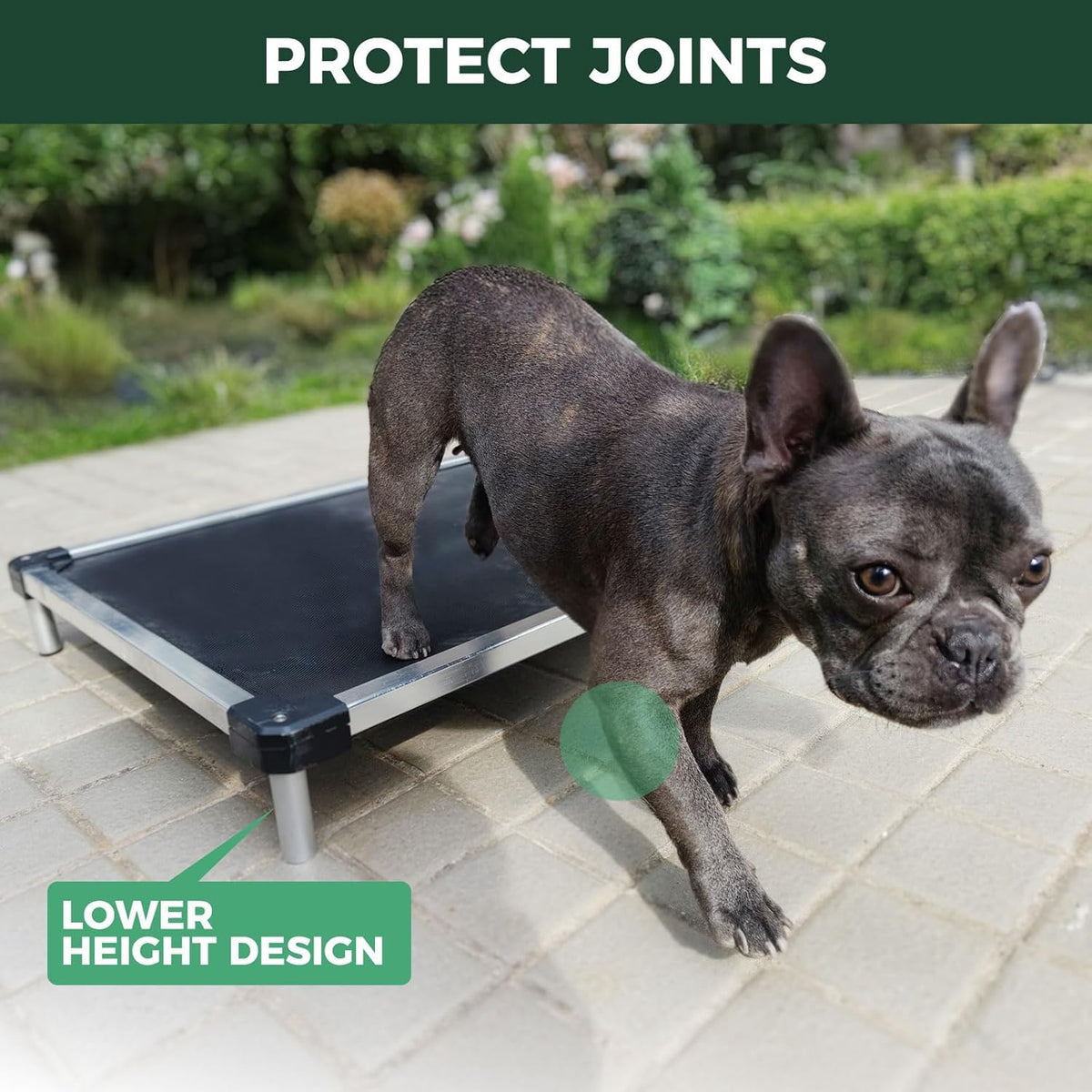 FXW TitanNest Chew-Proof Elevated Dog Bed, Raised Cot for Indoor/Outdoor/Camping Use, Durable &