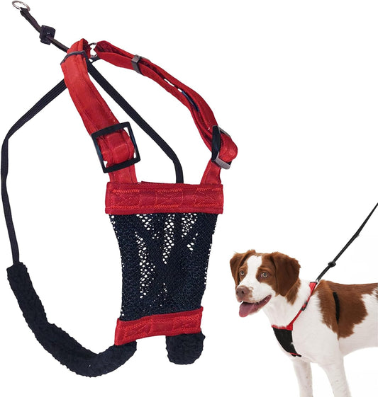 Sporn No Pull Dog Harness for Medium-Sized Dog - Red Mesh, Durable Nylon, Breathable, Adjustable