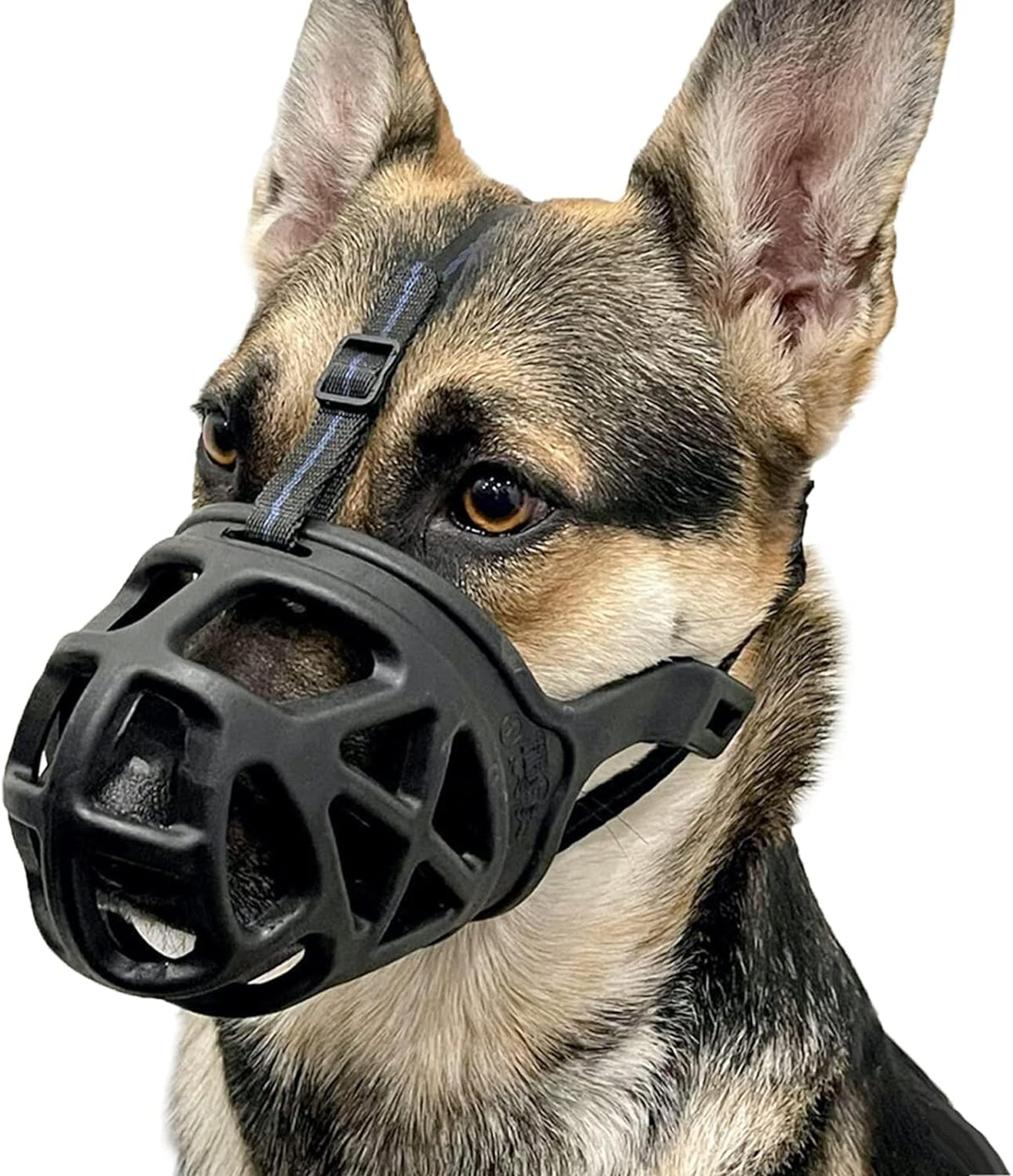 BARKLESS Dog Muzzle, Basket Muzzle for Biting, Chewing and Scavenging, Humane Cage Mouth Cover