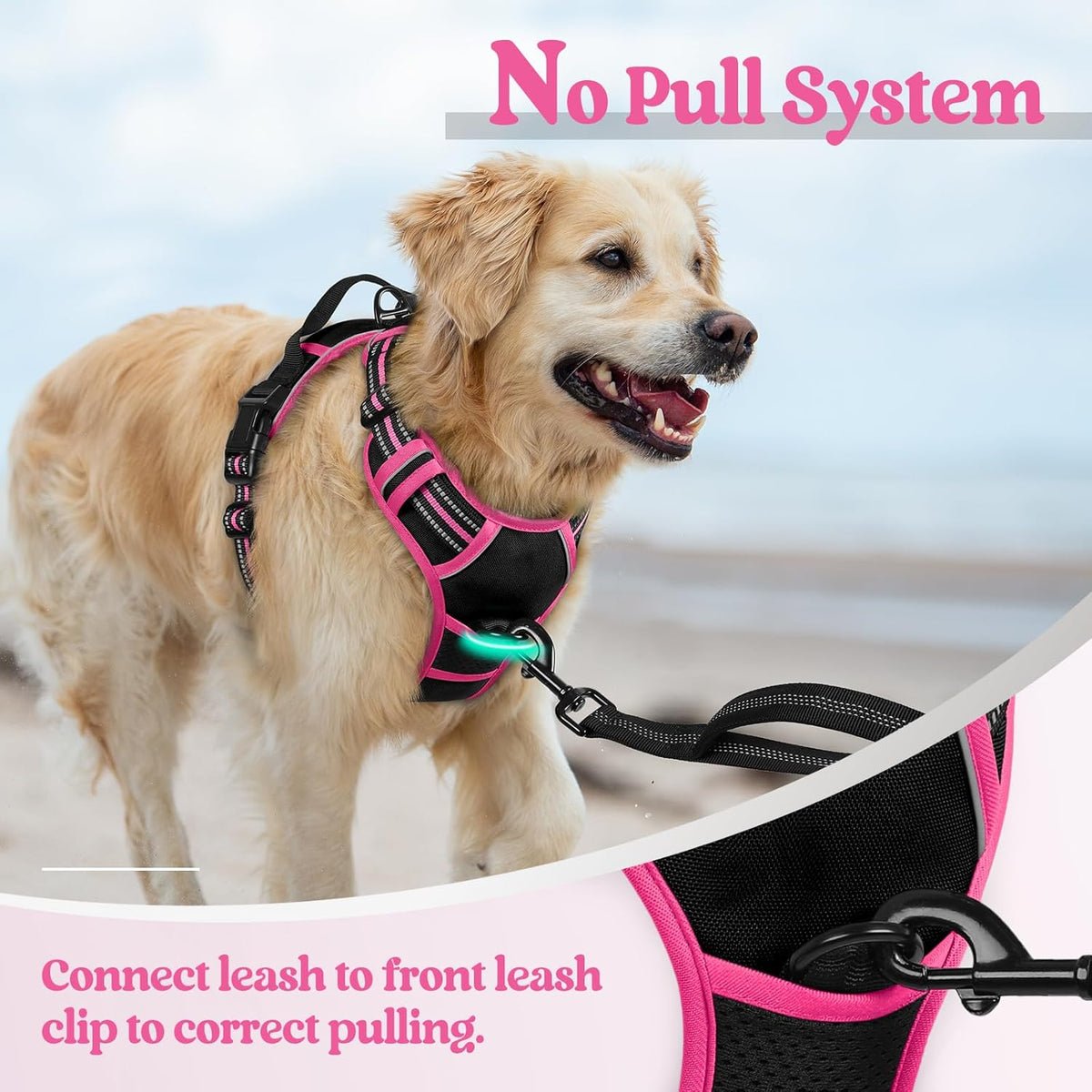 rabbitgoo Dog Harness No Pull with 2 Leash Clips, Adjustable Soft Padded, Reflective Oxford No
