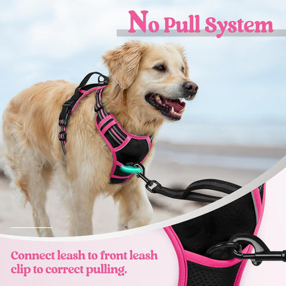 rabbitgoo Dog Harness No Pull with 2 Leash Clips, Adjustable Soft Padded, Reflective Oxford No
