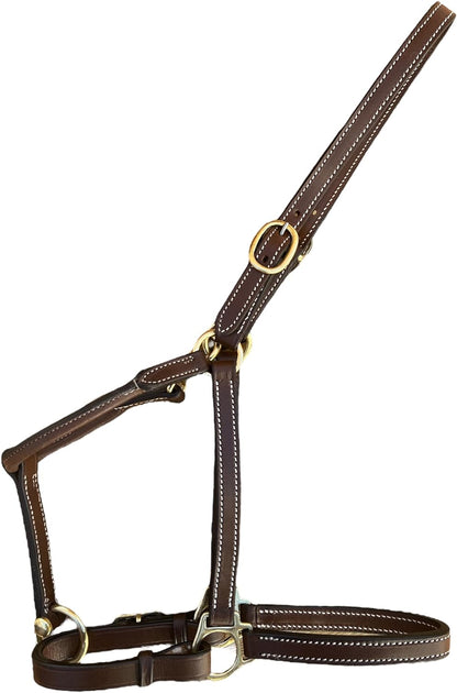 Leaders 3/4" Leather Halter for Horses with Customized Engraved Name Plate Brown Leather with Solid