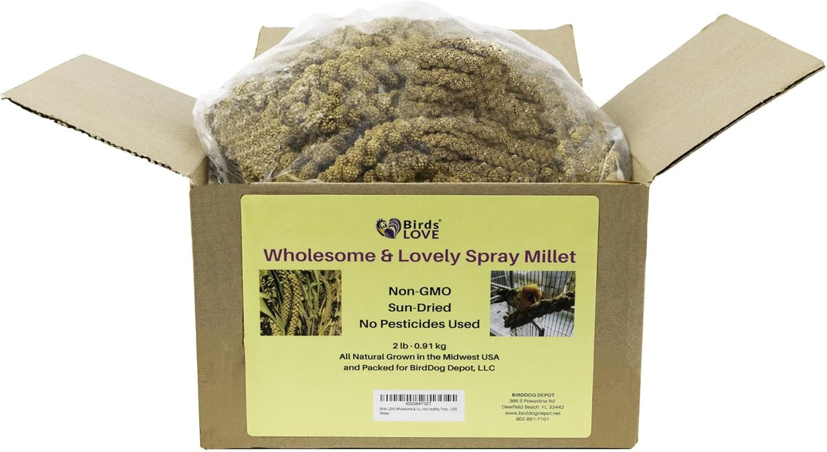 Birds LOVE Wholesome & Lovely Spray Millet Non-GMO for Birds Cockatiel Lovebird Parakeet Finch