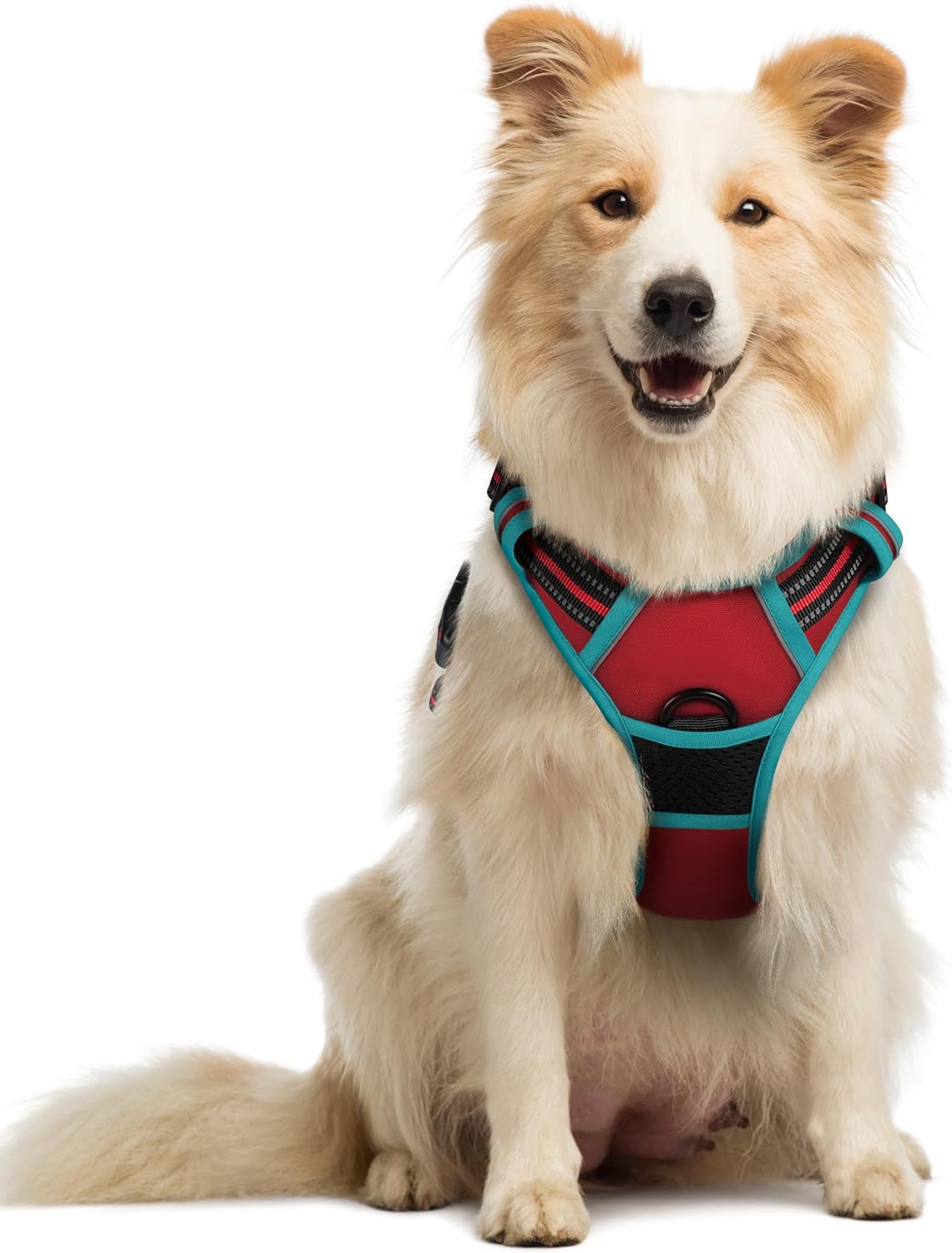 rabbitgoo Dog Harness No Pull with 2 Leash Clips, Adjustable Soft Padded, Reflective Oxford No