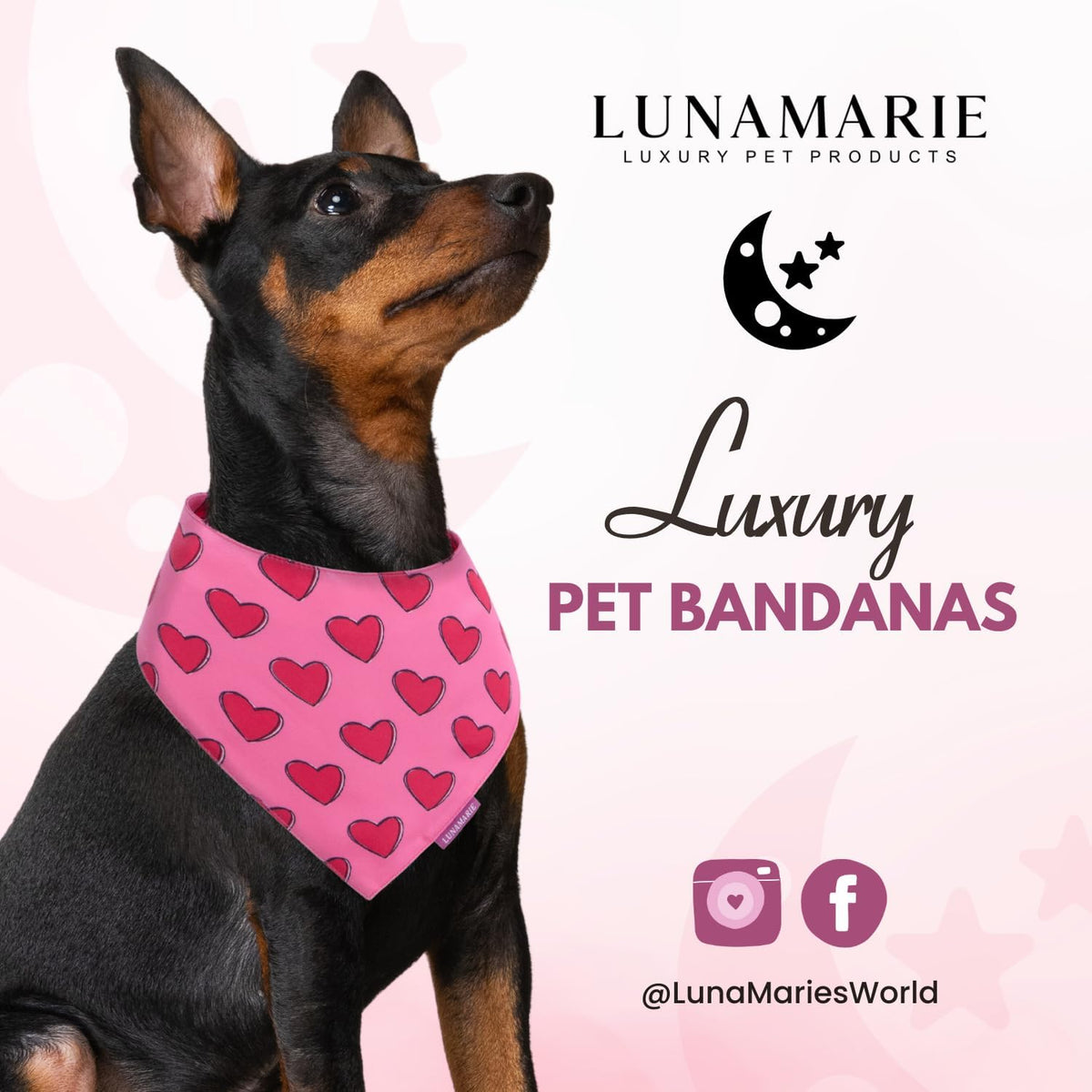 LunaMarie - Luxury Pet Birthday Bandanas -Premium & Silky Poly Fabric | 100% Handmade | Custom