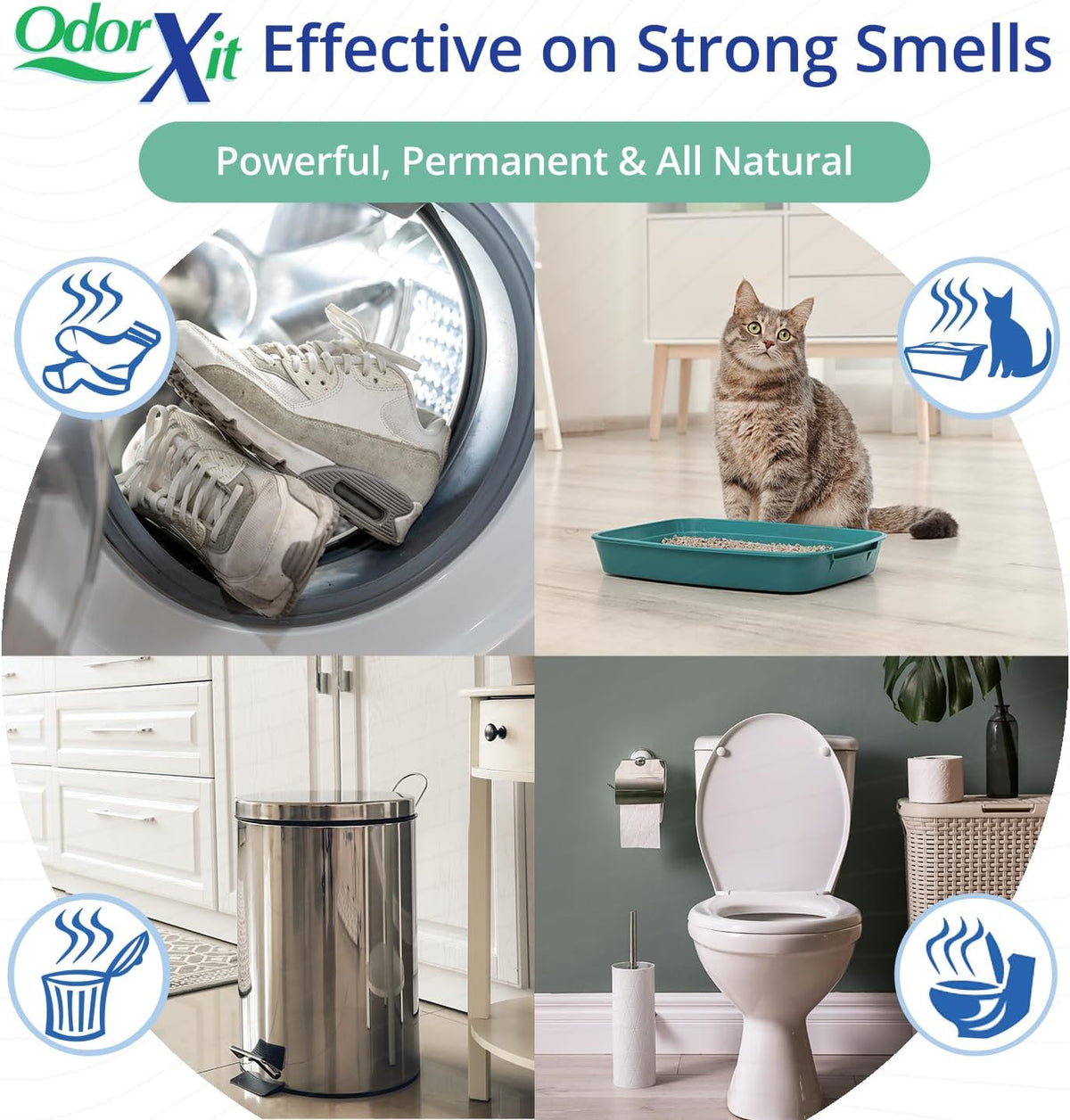 Concentrated Pet Urine Odor Eliminator, Ideal for Cat, Dog Poo and Urine Smell, Versatile & Natural