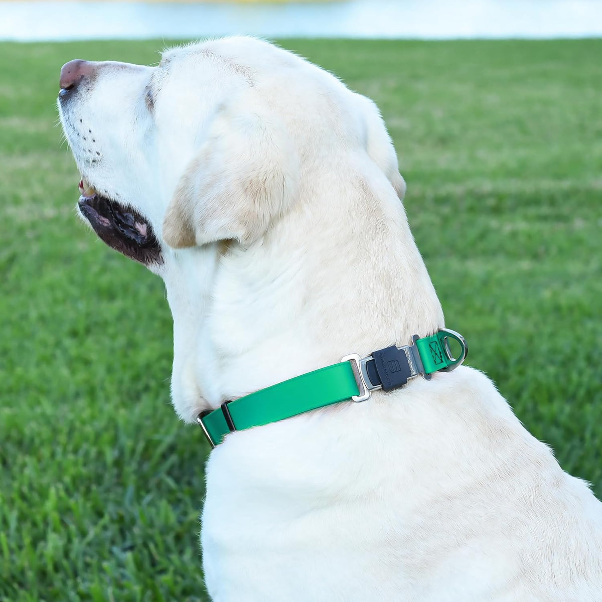 Dogline Biothane Waterproof Dog Collar with Herm Sprenger Black Stainless Steel Quick Release