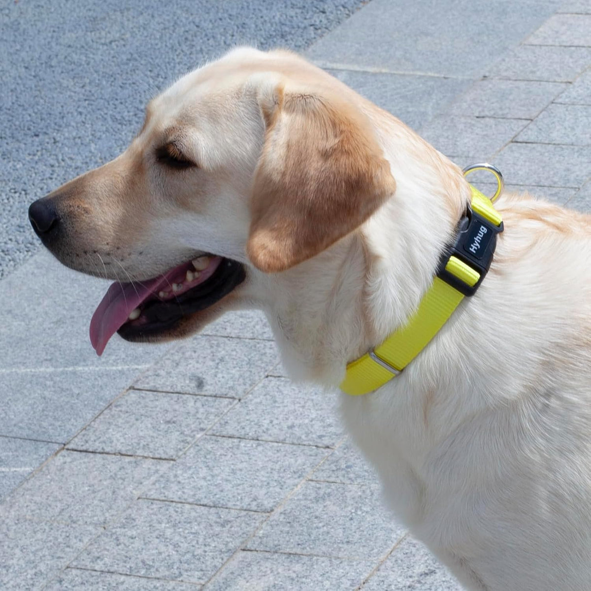 Hyhug Small Dog Collar Quick-Release Yellow| Heavy-Duty Nylon Puppy Collar, Adjustable & Durable