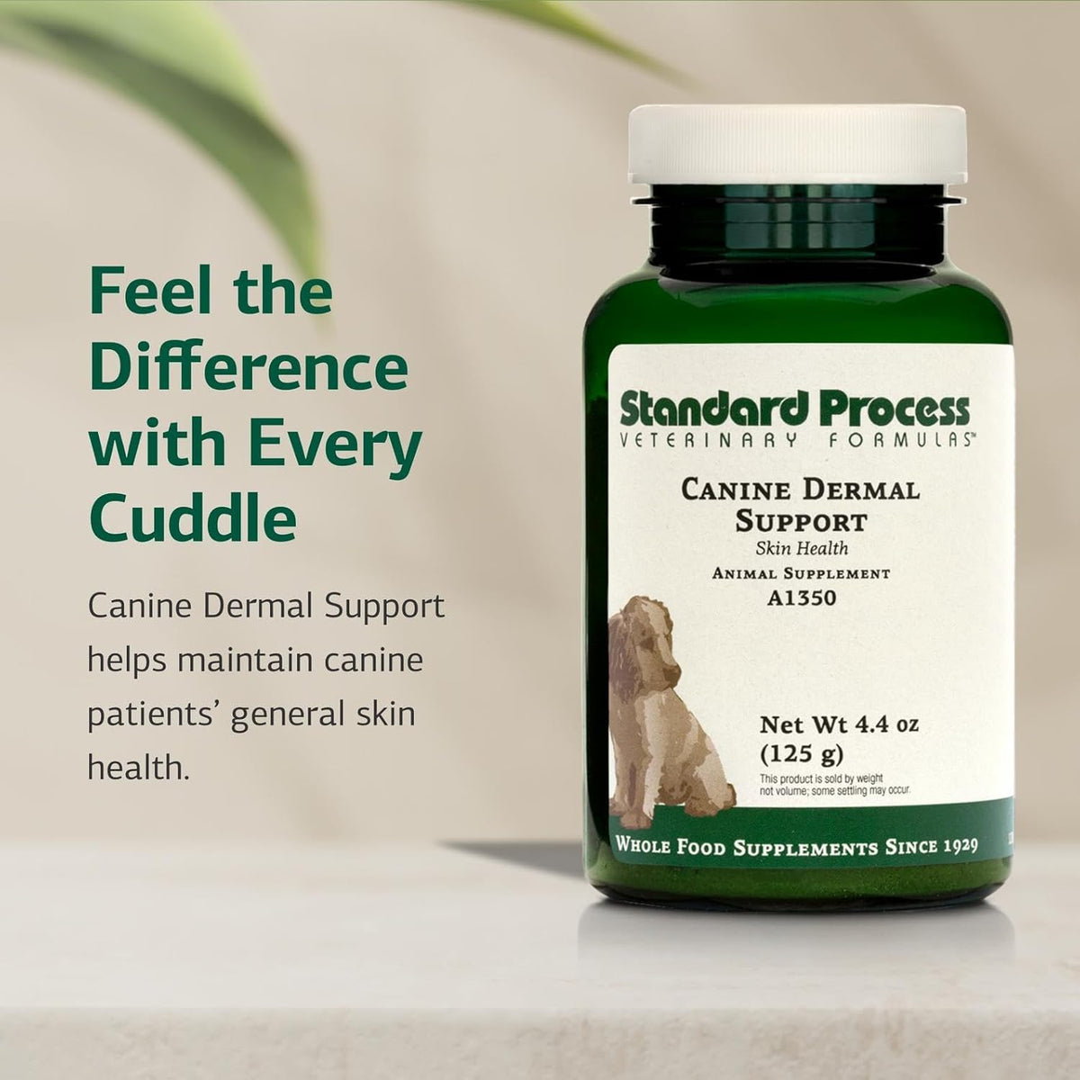 Standard Process Inc. Canine Dermal Support - Skin & Adrenal Gland Supplement - Comprehensive Skin