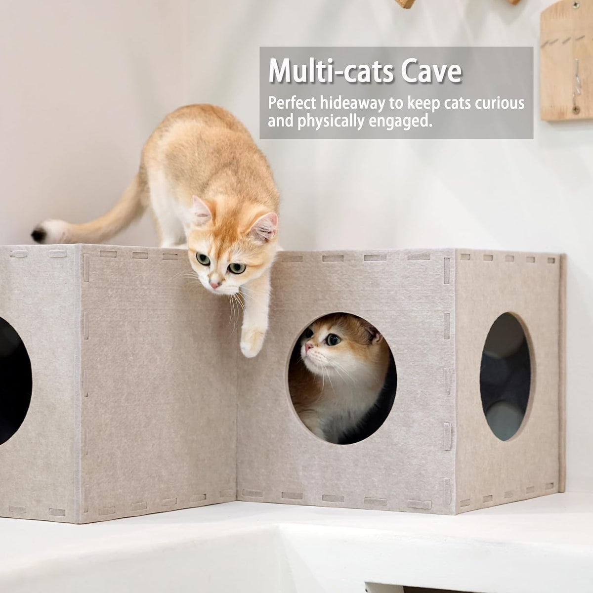 PETKARAY Cat Tunnel, Original Cat Hideaway Cave for Indoor Cats, Large Kitten Play Tubes and