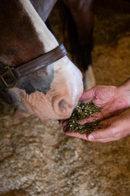 New Country Organics | Low Starch Horse Feed | Horse Food for Horses with Metabolic Disorders or