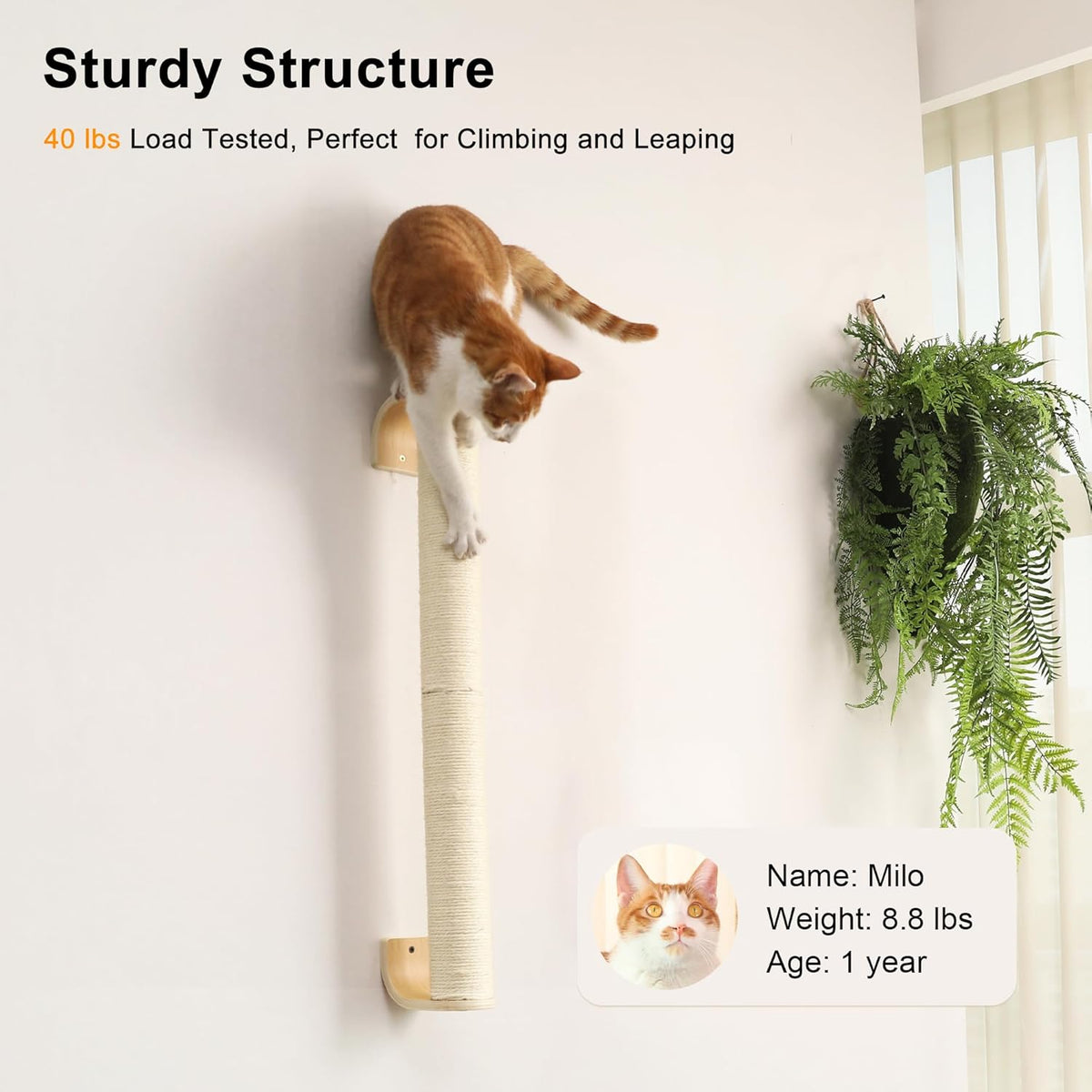FUKUMARU Cat Wall Scratcher, 28" Wall Mounted Kitten Scratching Post, Sturdy Sisal Climbing Tree