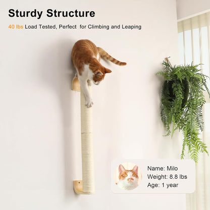 FUKUMARU Cat Wall Scratcher, 28" Wall Mounted Kitten Scratching Post, Sturdy Sisal Climbing Tree