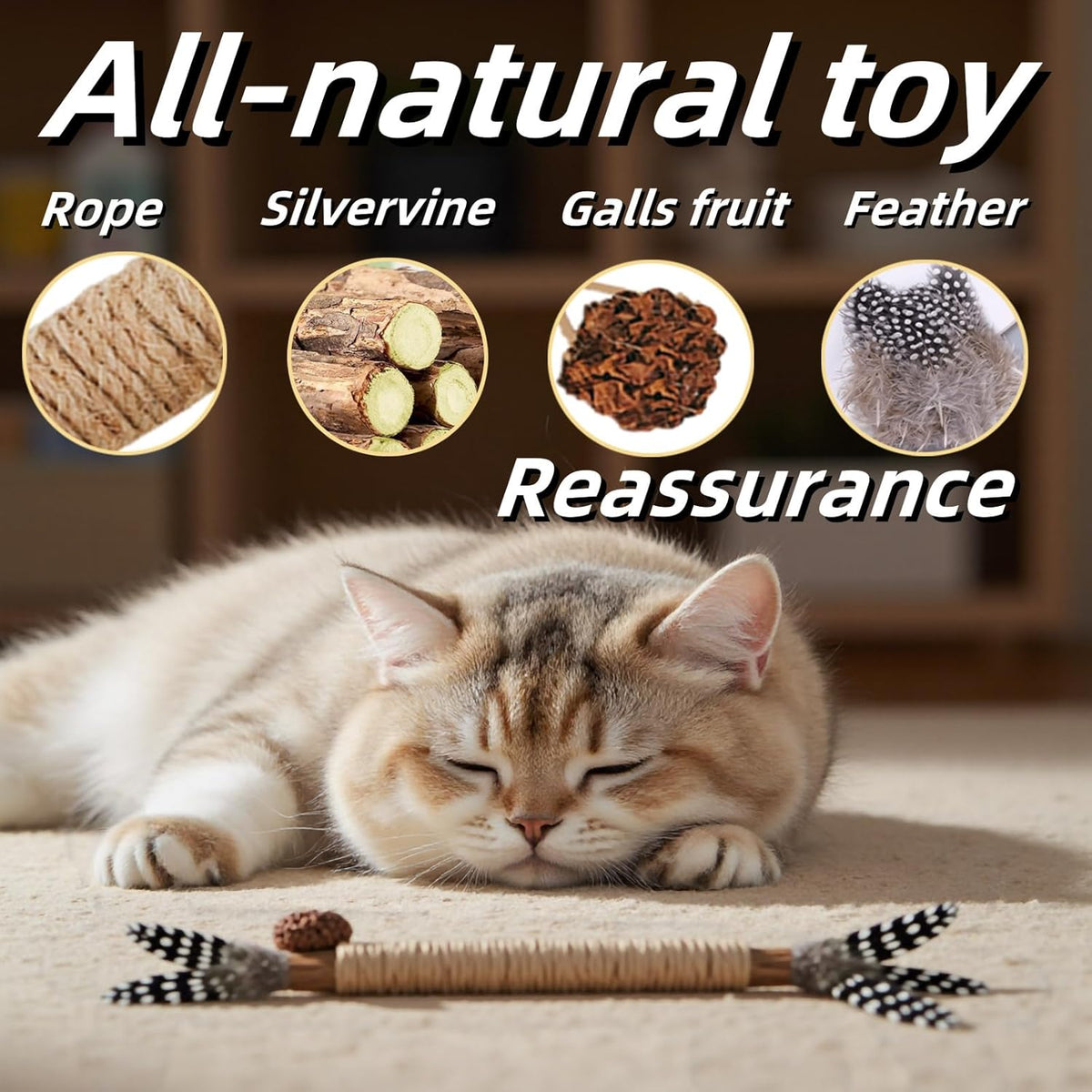 Cat Toys 12PCS Catnip Toy for Indoor Kitten Treat Cats Chew Stick for Dental Cleaning Teeth Kitten